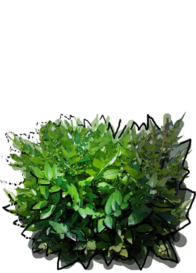 Plant - Dictamnus albus