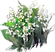 Plant - Lily of the Valley