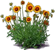 Plant - Great Blanket Flower